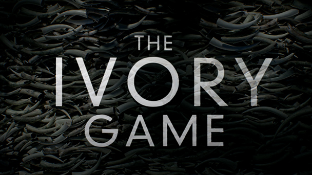 Netflix | The Ivory Game